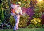 Quelles sont les protections indispensables pour les insecticides ?