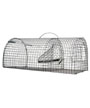 Aedes Protecta Nasse  rat