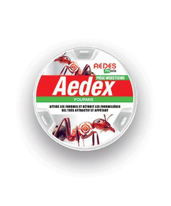 Aedes Protecta Aedex fourmis