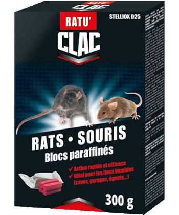 Clac Rats Souris Blocs Paraffinés