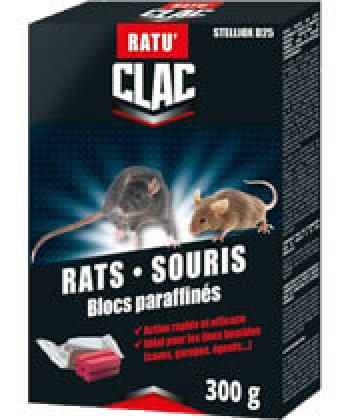 Clac Rats Souris Blocs Paraffins