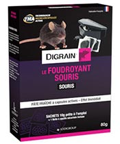 Digrain Le Foudroyant Souris