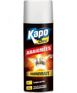 Kapo Choc Araignées