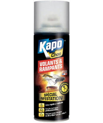 Kapo Choc Volants & Rampants