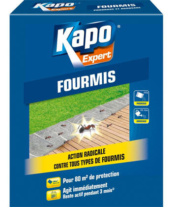 Kapo Expert Fourmis