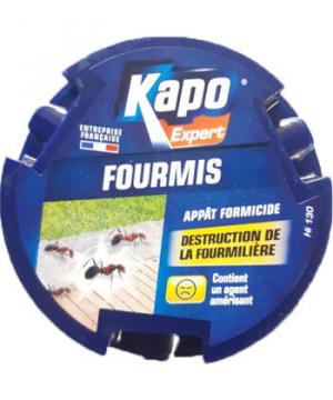 Kapo Expert Fourmis