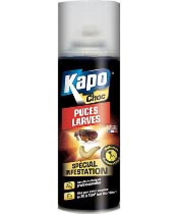Kapo Choc Puces Larves