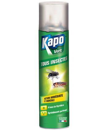 Kapo Vert Tous Insectes