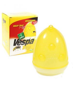 Clac Vespa Trap