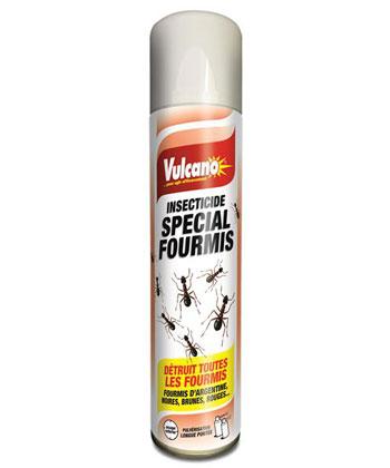 Appat fourmis insecticide.