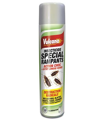 Anti Fourmis En Spray Et Produit Insecticide